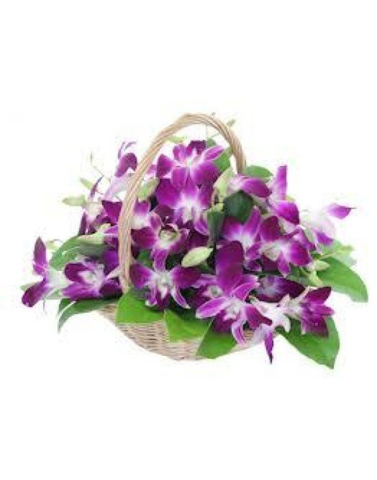 Orchids Basket