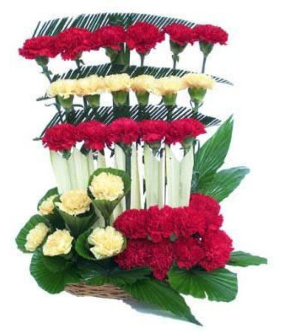 Red and Yellow Carnations Basket Red and Yellow Carnations Basket