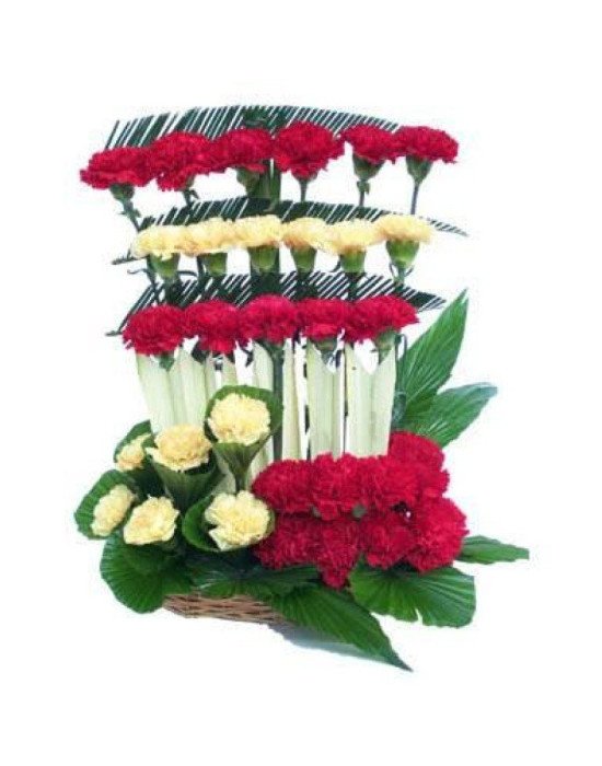 Red and Yellow Carnations Basket