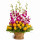 Flower Basket Arrangements