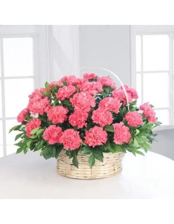 Sweet Pink 