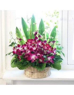 Cute Orchids Basket