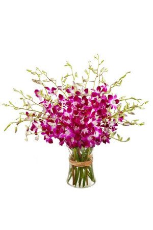 20 Orchids Vase Arrangement