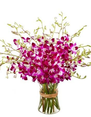 20 Orchids Vase Arrangement