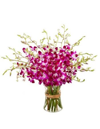 20 Orchids Vase Arrangement