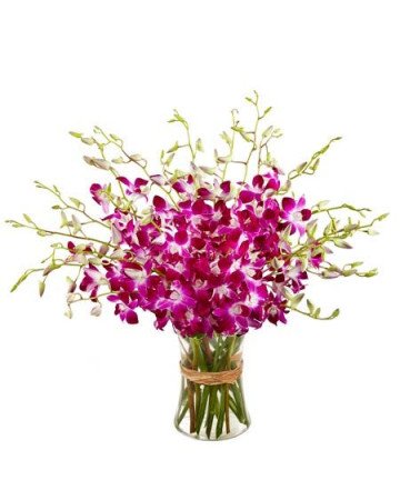 20 Orchids Vase Arrangement