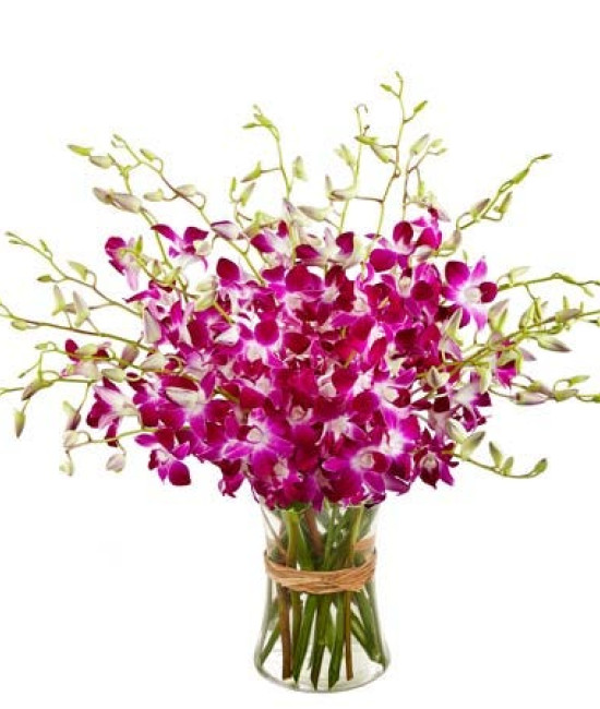 20 Orchids Vase Arrangement 20 Orchids Vase Arrangement