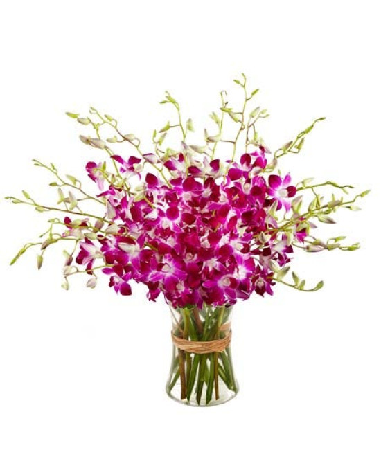 20 Orchids Vase Arrangement