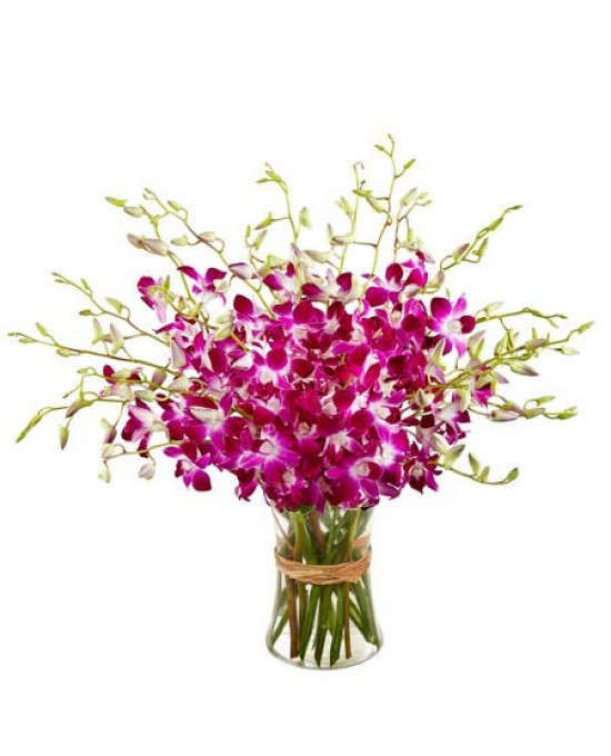 20 Orchids Vase Arrangement