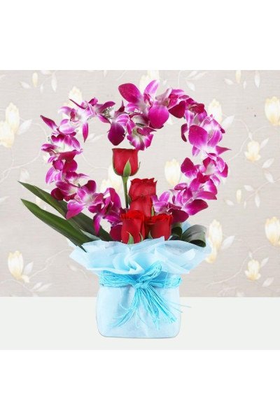 Romance Glory