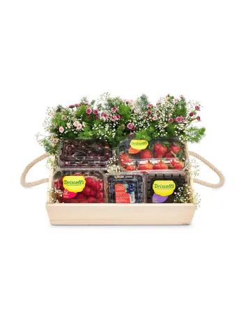Berry Harvest Gift Hamper