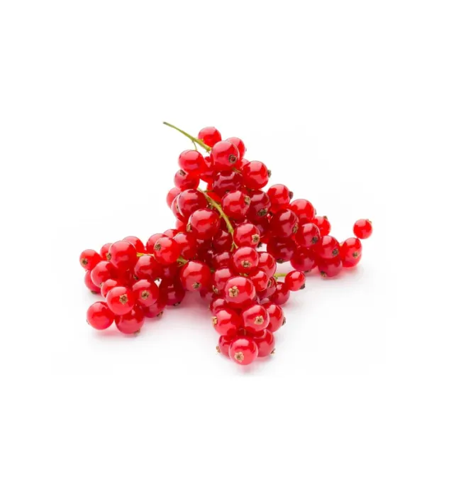 Crimson Red Currant Pearls
