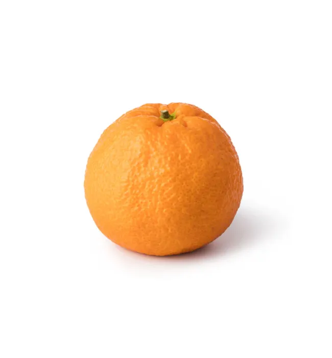 Egyptian Valencia Citrus Orange