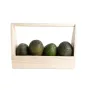 Hass Avocado Gift Collection