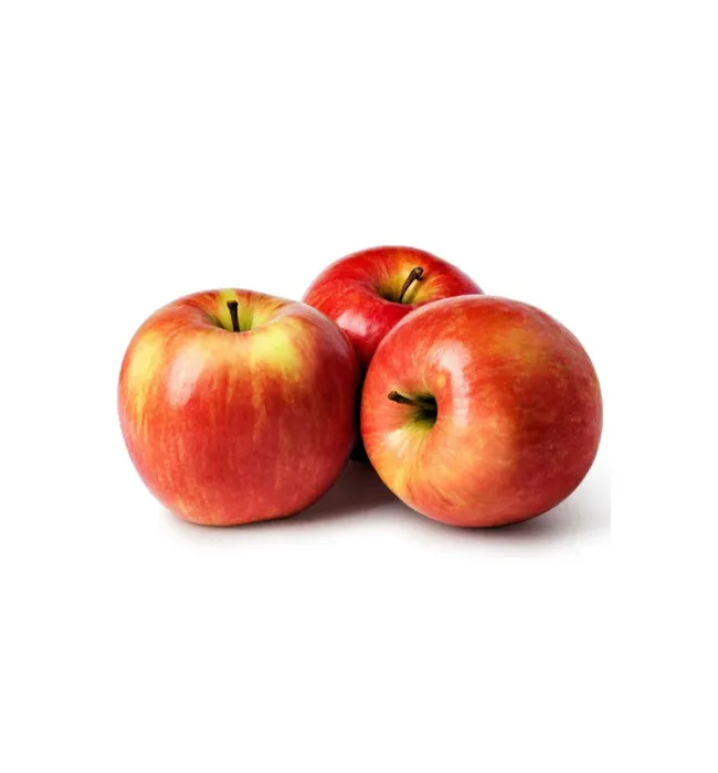 New Zealand Queen Apple Delight