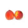 Rajgarh Orchard Peach