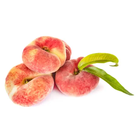 Spanish Peach