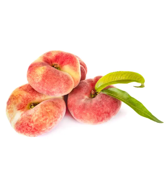 Spanish Peach