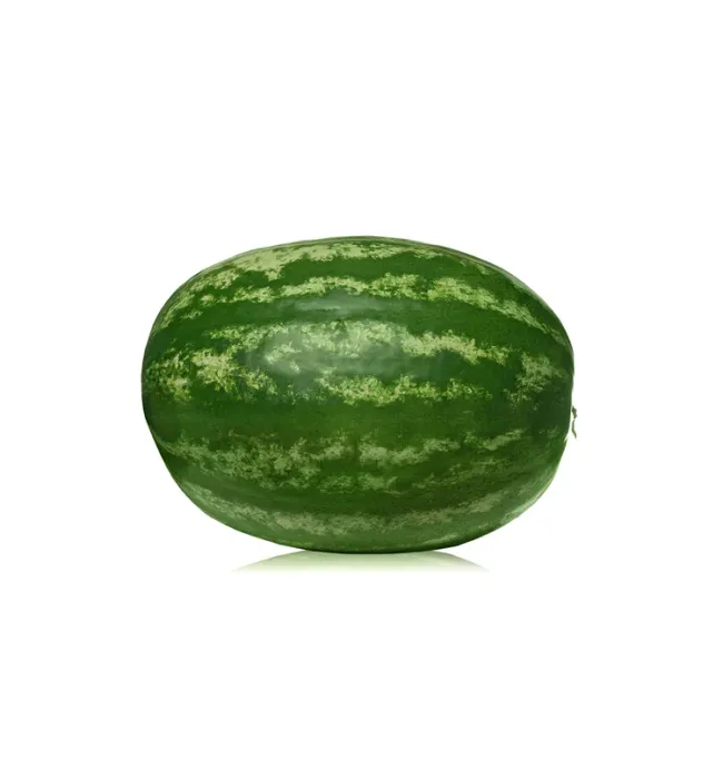 Summer Refresh Watermelon