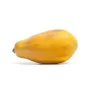 Tropical Papaya Fruit