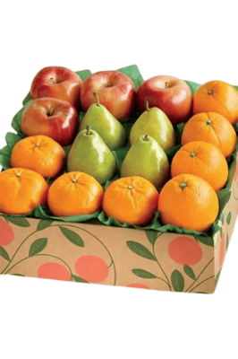 Wellness Bite Fruit Basket