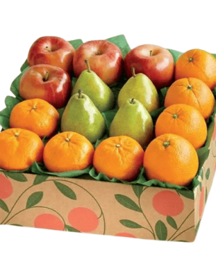 Wellness Bite Fruit Basket