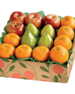 Wellness Bite Fruit Basket