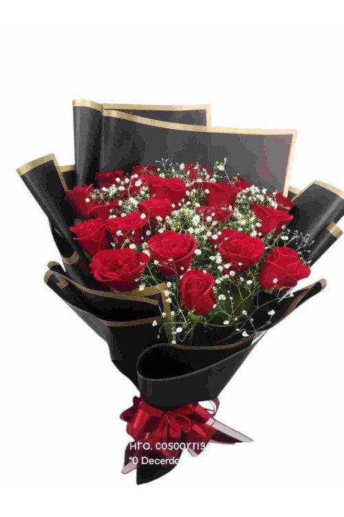 Timeless Love – 20 Red Roses Premium Bunch