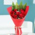 Artistic Red Roses