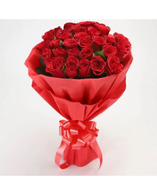 My Little Hummingbird