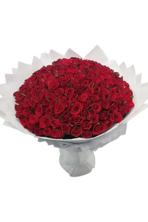 200 Roses Hand Bouquet