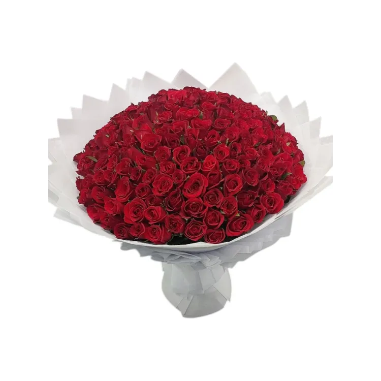 200 Roses Hand Bouquet