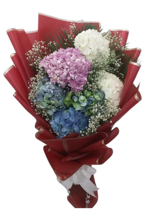 Heavenly Blooms – Premium Hydrangea Flower Bouquet