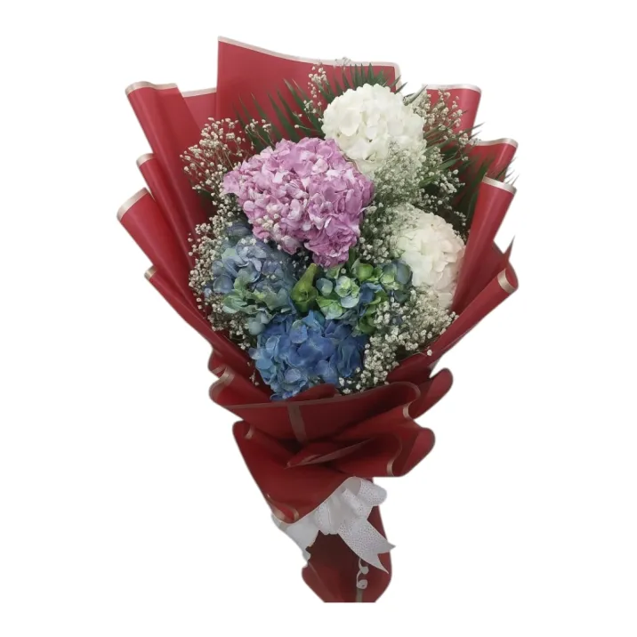 Heavenly Blooms – Premium Hydrangea Flower Bouquet