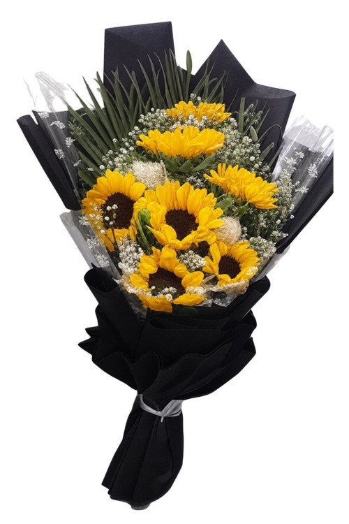 Golden Glow – Premium Sunflowers Flat Bunch