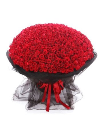 365 Red Roses Bunch