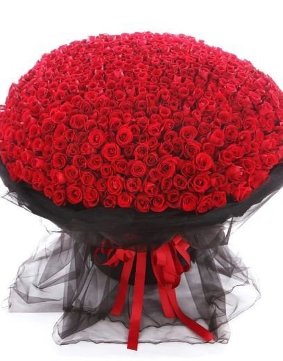 365 Red Roses Bunch