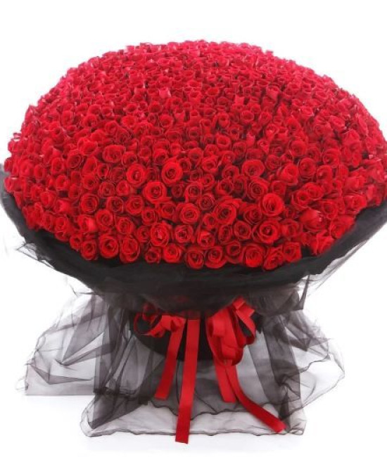 365 Red Roses Bunch 365 Red Roses Bunch