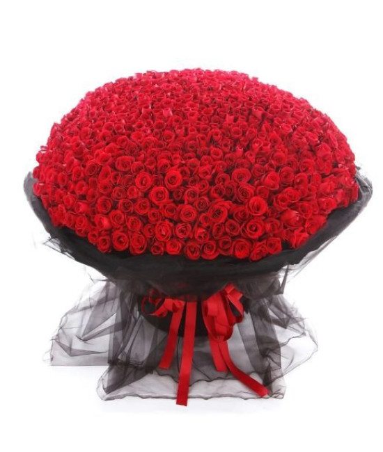 365 Red Roses Bunch
