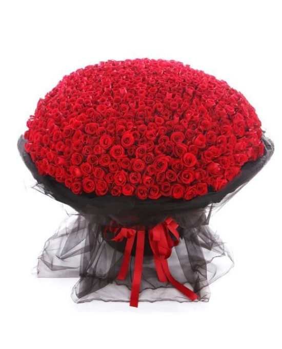 365 Red Roses Bunch