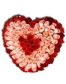 100 Pink and Red Roses Heart Bouquet