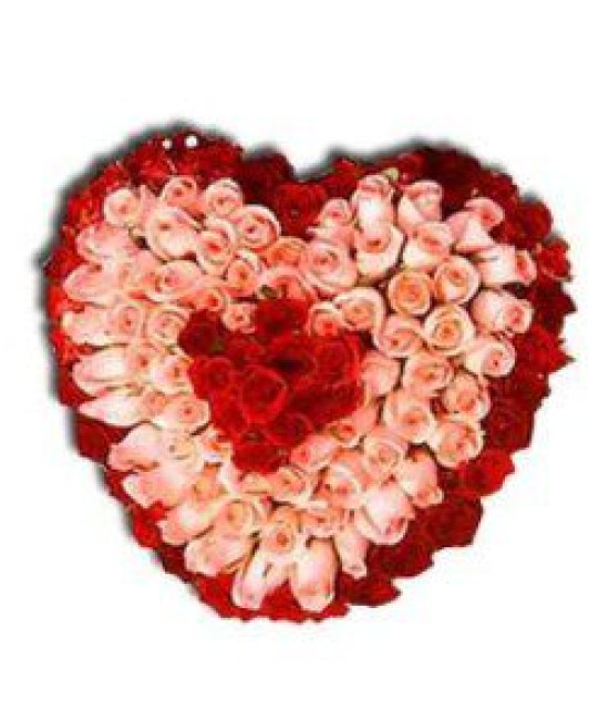 100 Pink and Red Roses Heart Bouquet
