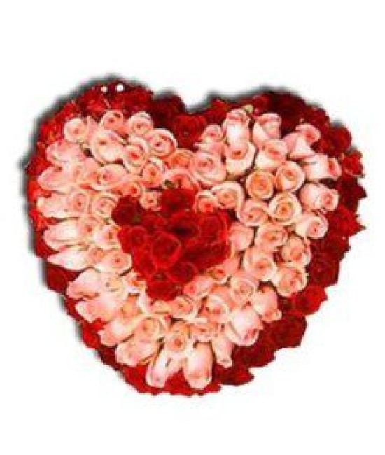 100 Pink and Red Roses Heart Bouquet 100 Pink and Red Roses Heart Bouquet