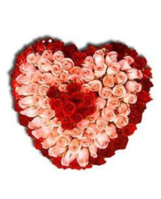 100 Pink and Red Roses Heart Bouquet