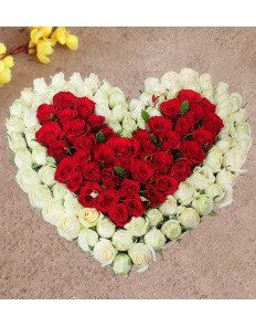 100 White & Red Roses Heart shape 