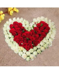 100 White & Red Roses Heart shape 