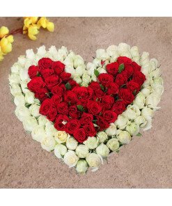 100 White & Red Roses Heart shape 