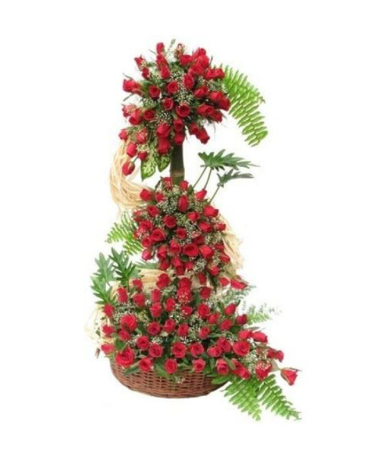 120 Roses Special Arrangement