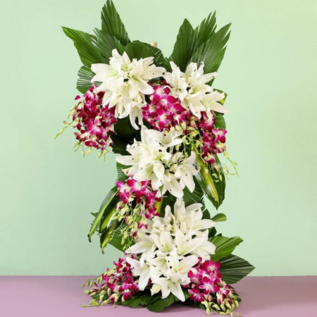 Purple White Gesture