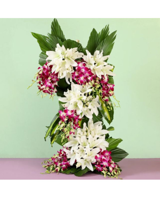 Purple White Gesture